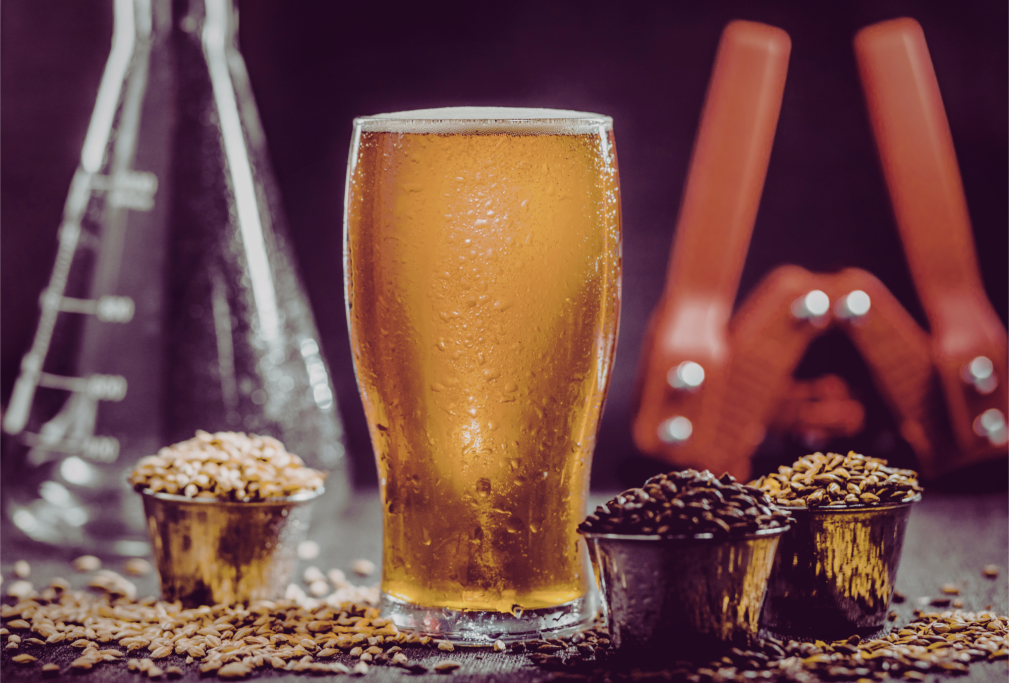 Barley Malt & Brewing Chemistry Barley Malt & Brewing Chemistry